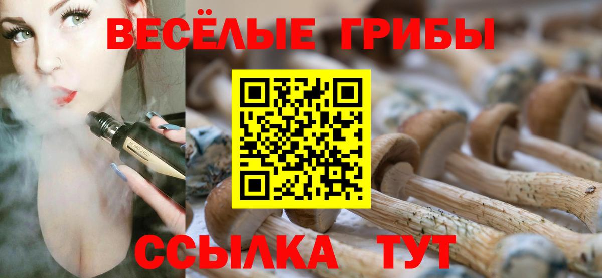 Ульяновск  Галлюциногенные грибы MAGIC MUSHROOMS  сколько стоит  Вход с VPN 